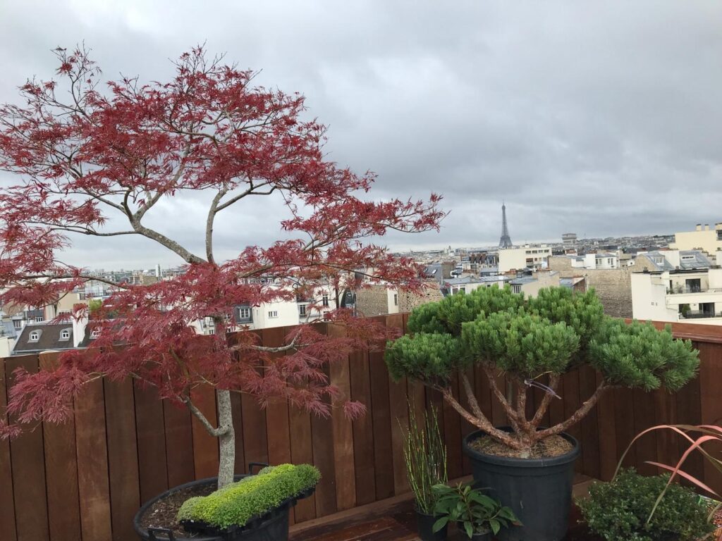 Terrasses - JEVOR - Paysagiste à Orléans